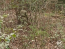 MultiCam